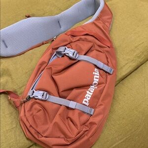 Patagonia Berry Belt Bag with Light Blue Straps